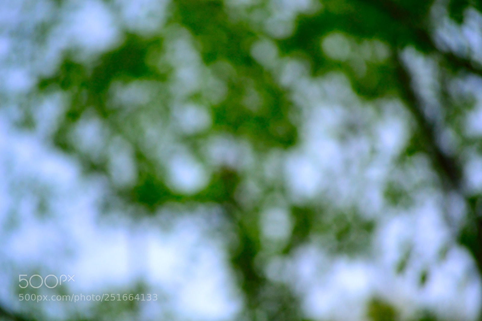 Nikon D3100 sample photo. Blur photography