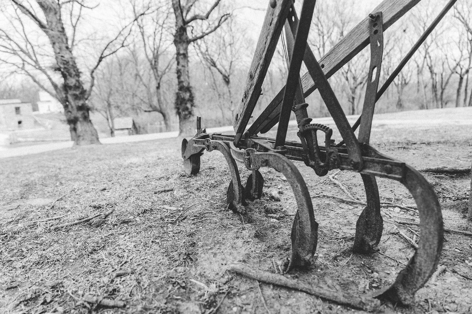 Sony a7 sample photo. Fun day photography