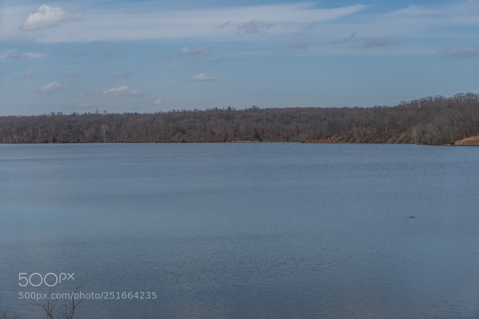 Sony a7 sample photo. Dsc photography