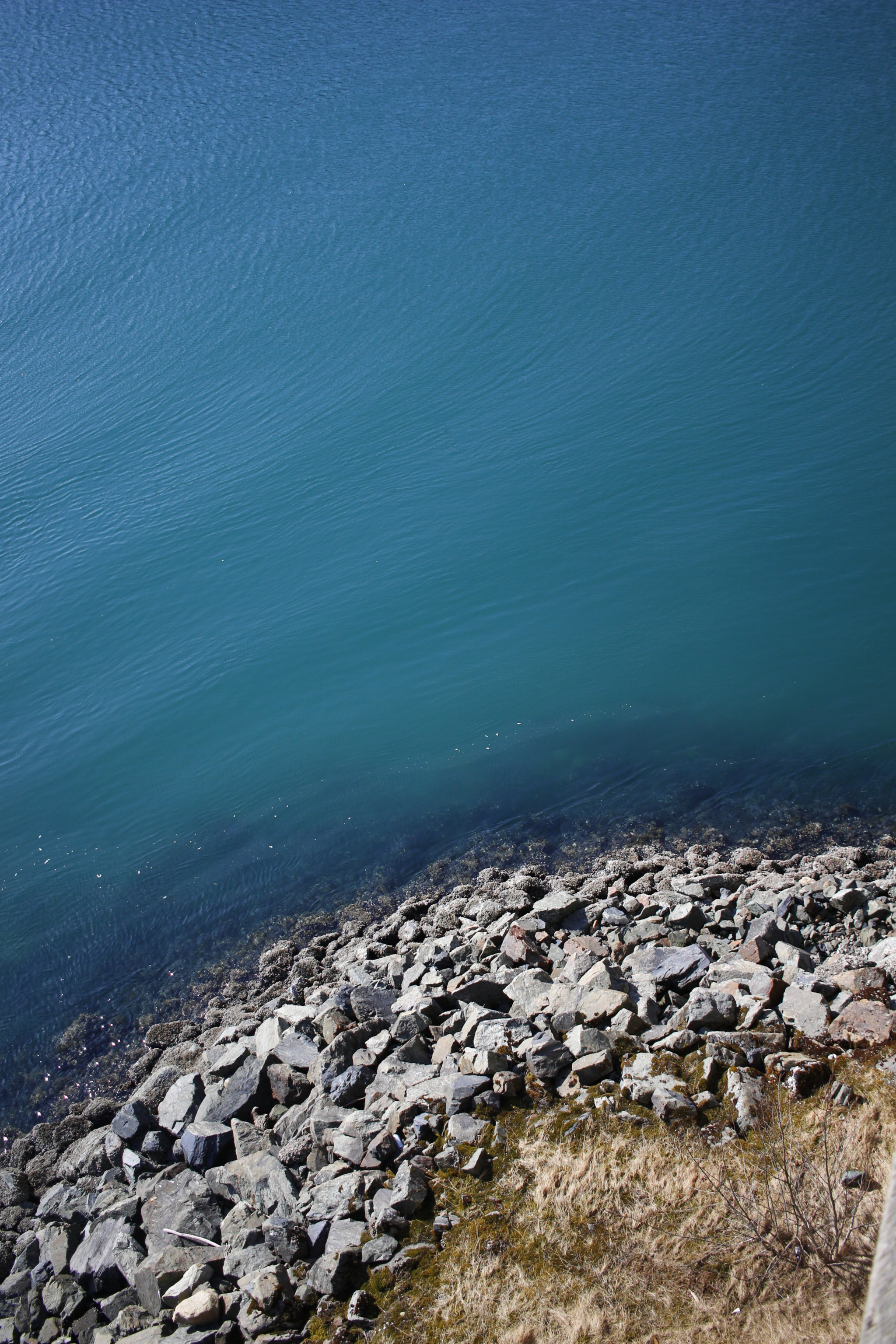Canon EF-S 24mm F2.8 STM sample photo