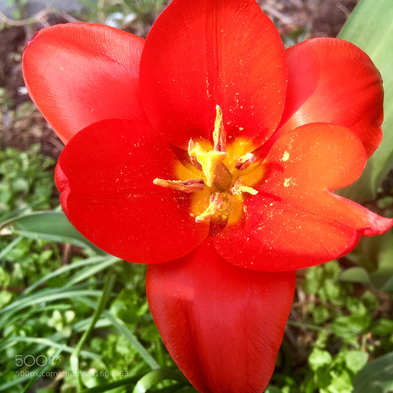 Apple iPhone SE sample photo. Untitled photography