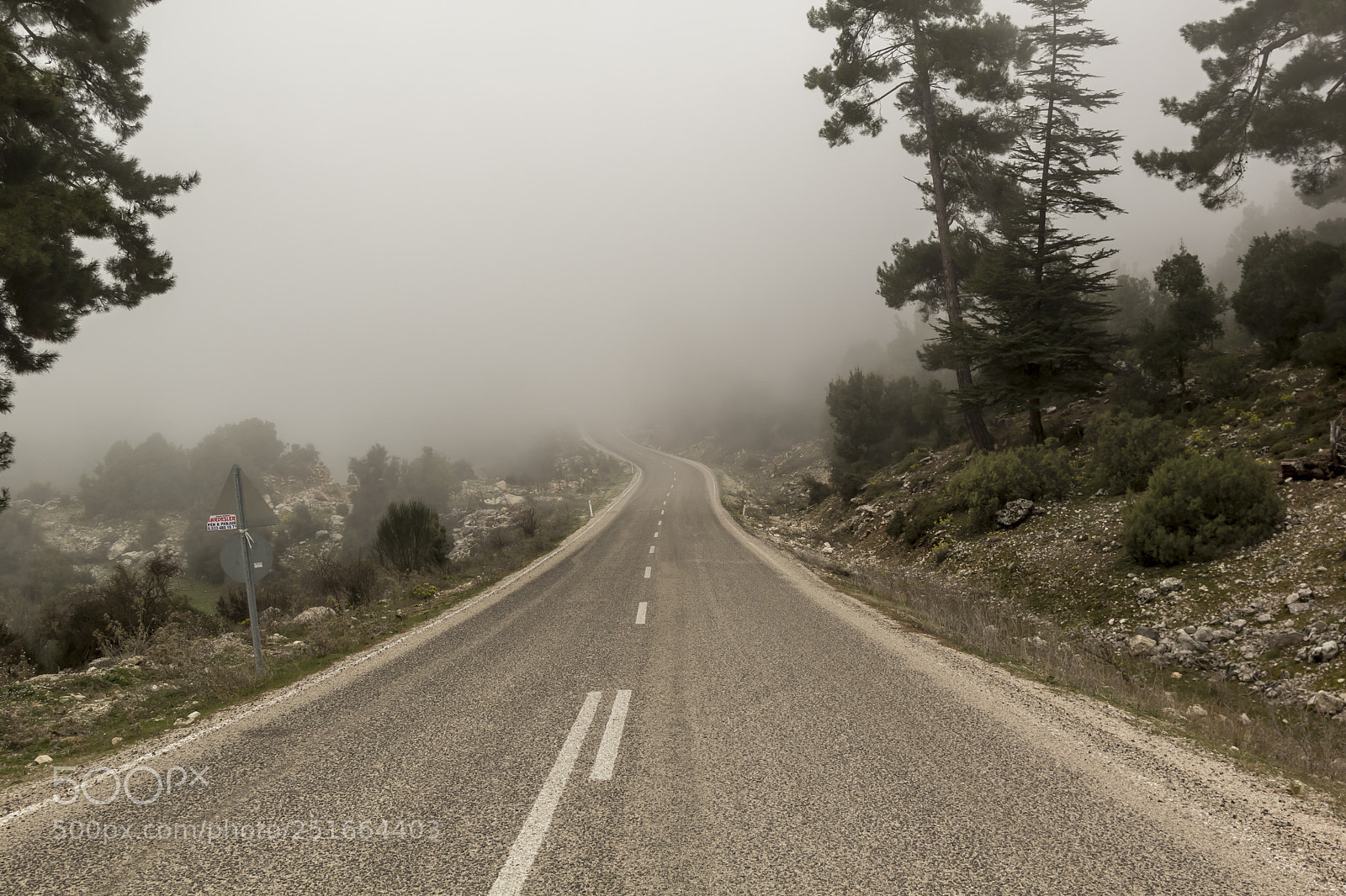 Canon EOS 60D sample photo. Fogged in road photography