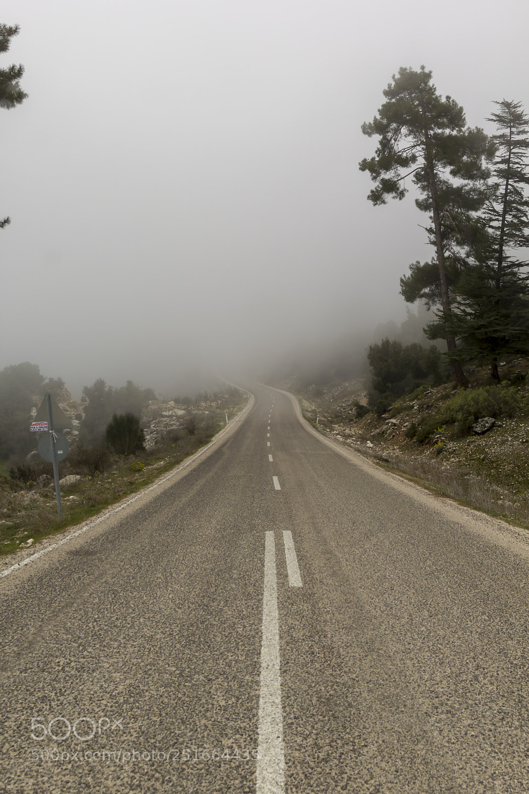 Canon EOS 60D sample photo. Fogged in road photography