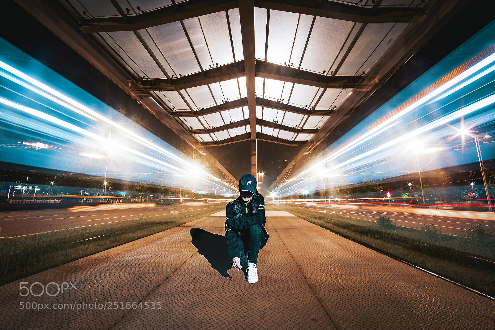Canon EOS-1D X Mark II sample photo. Merlin photography