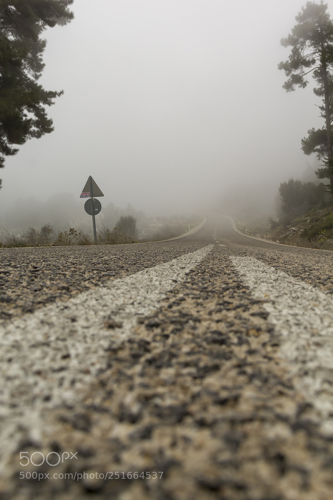 Canon EOS 60D sample photo. Fogged in road photography