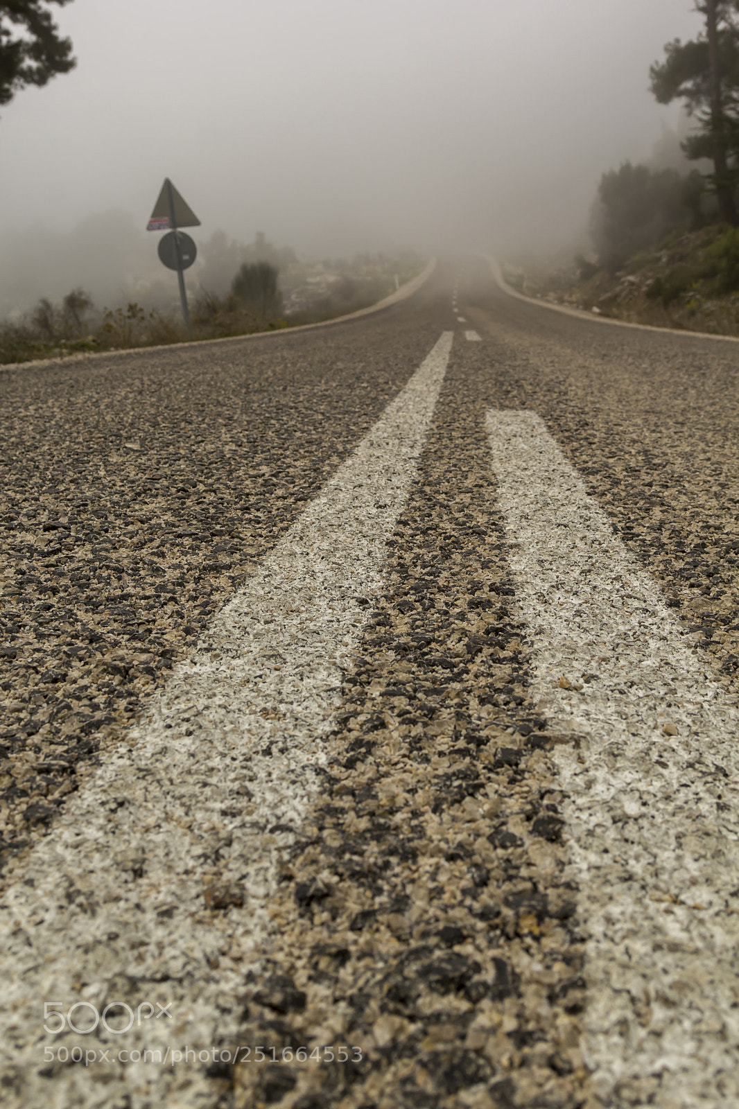 Canon EOS 60D sample photo. Fogged in road photography