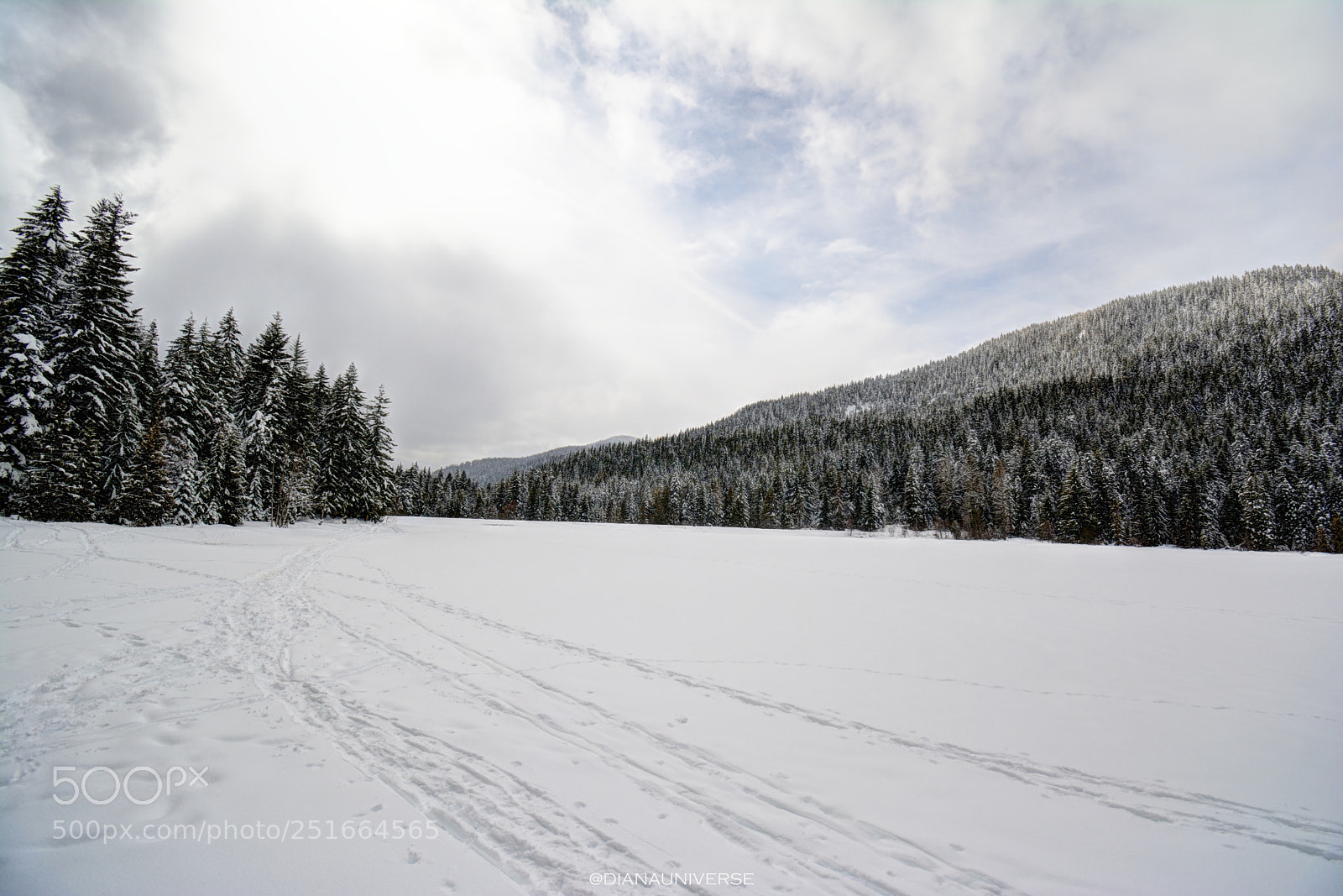 Nikon D7100 sample photo. Across the ice photography