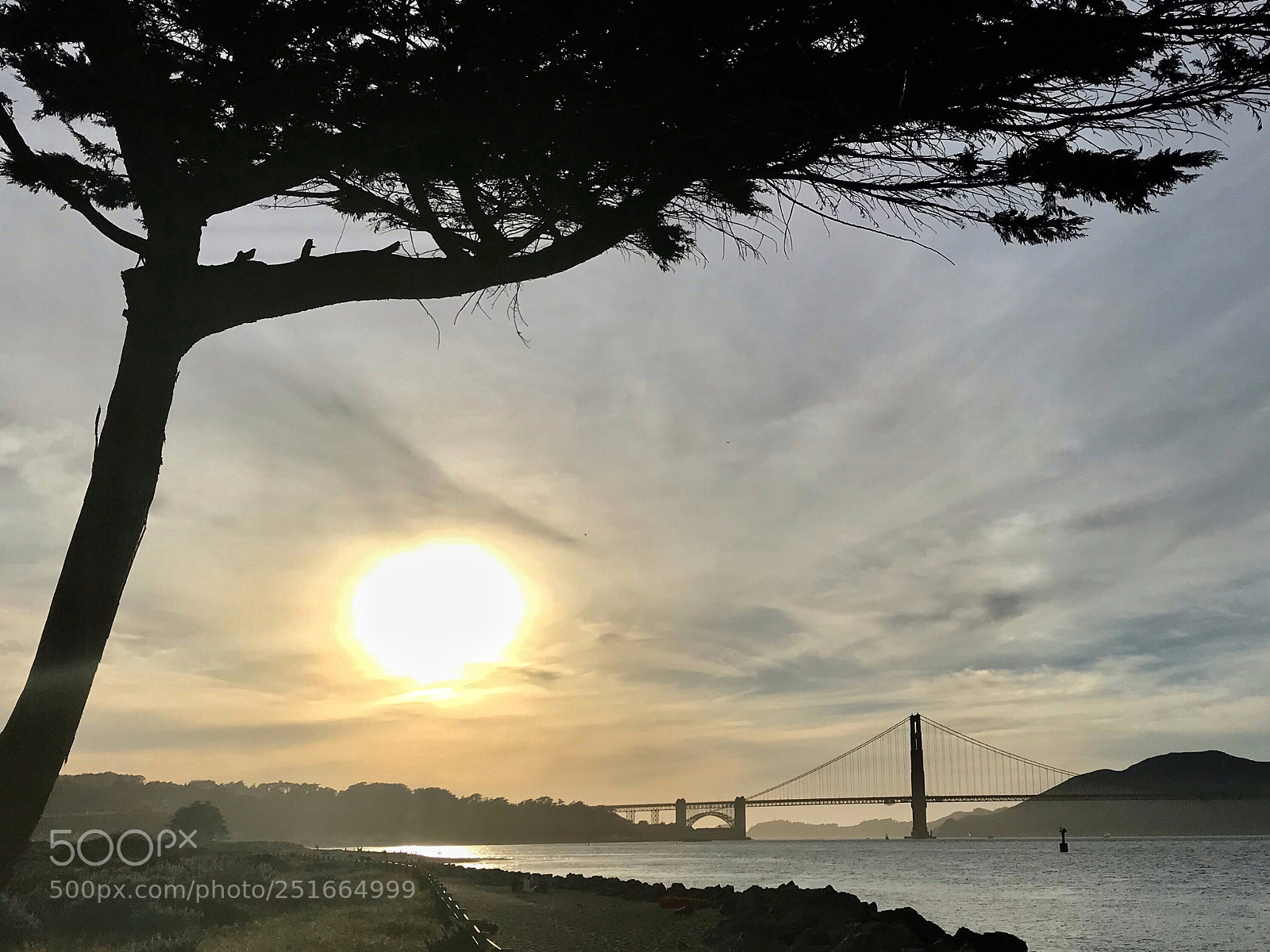 Apple iPhone 7 sample photo. Sunset at the golden photography