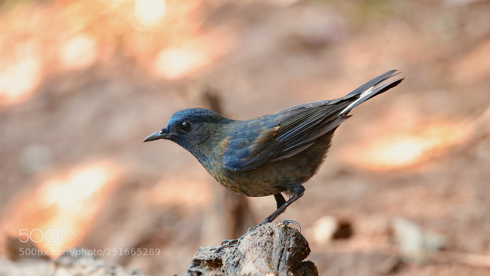 Canon EOS 5DS sample photo. Untitled photography