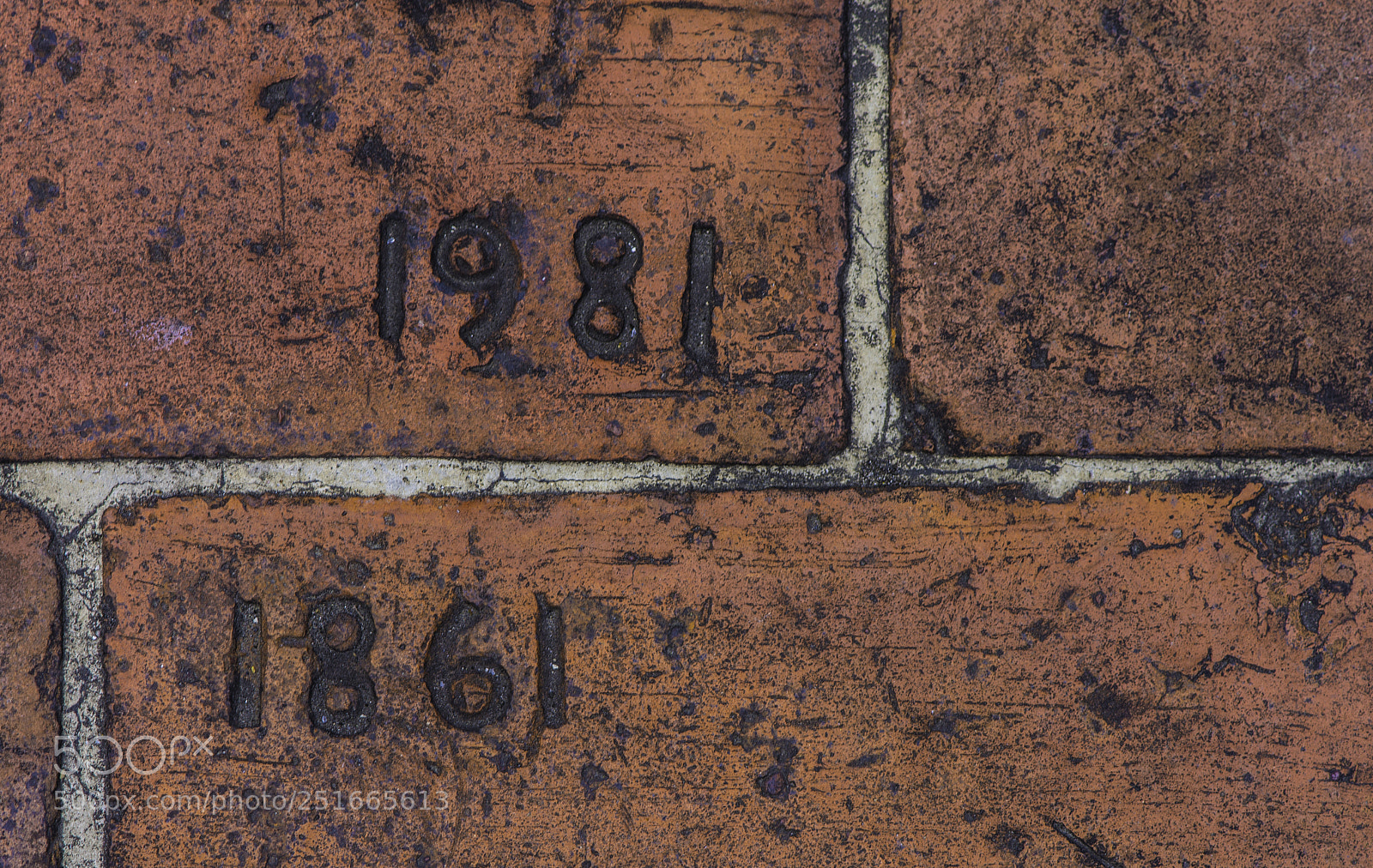 Nikon D7200 sample photo. 1861 or 1981 photography