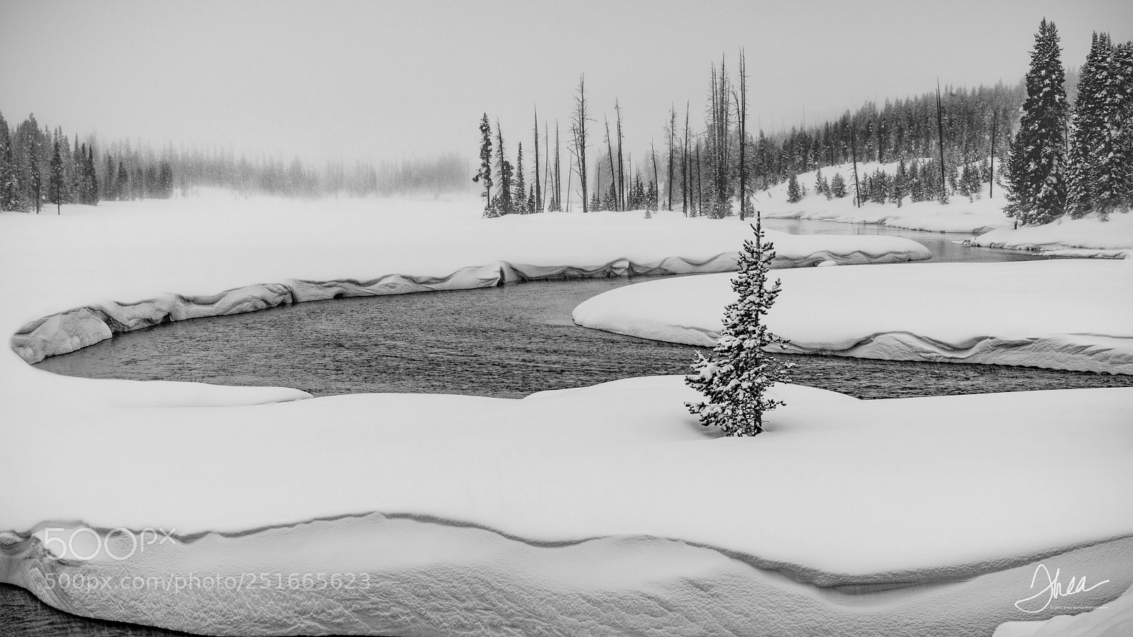 Nikon D810 sample photo. River runs through yellowstone photography