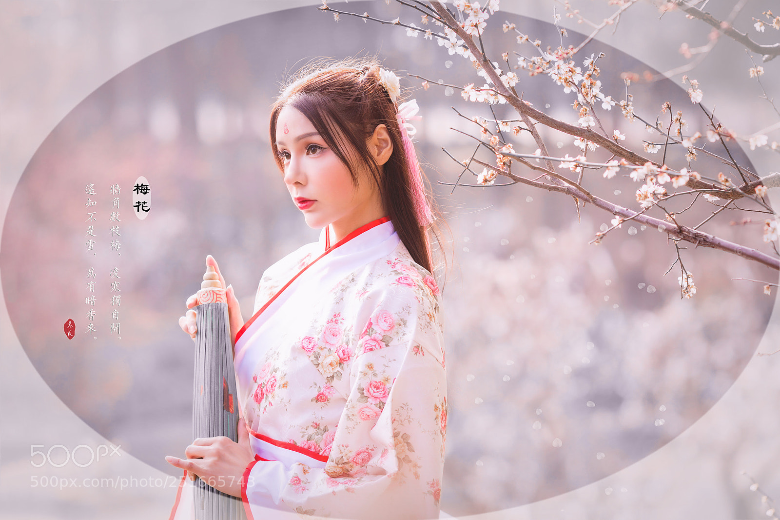 Canon EOS 5D Mark IV sample photo. 梅花 photography