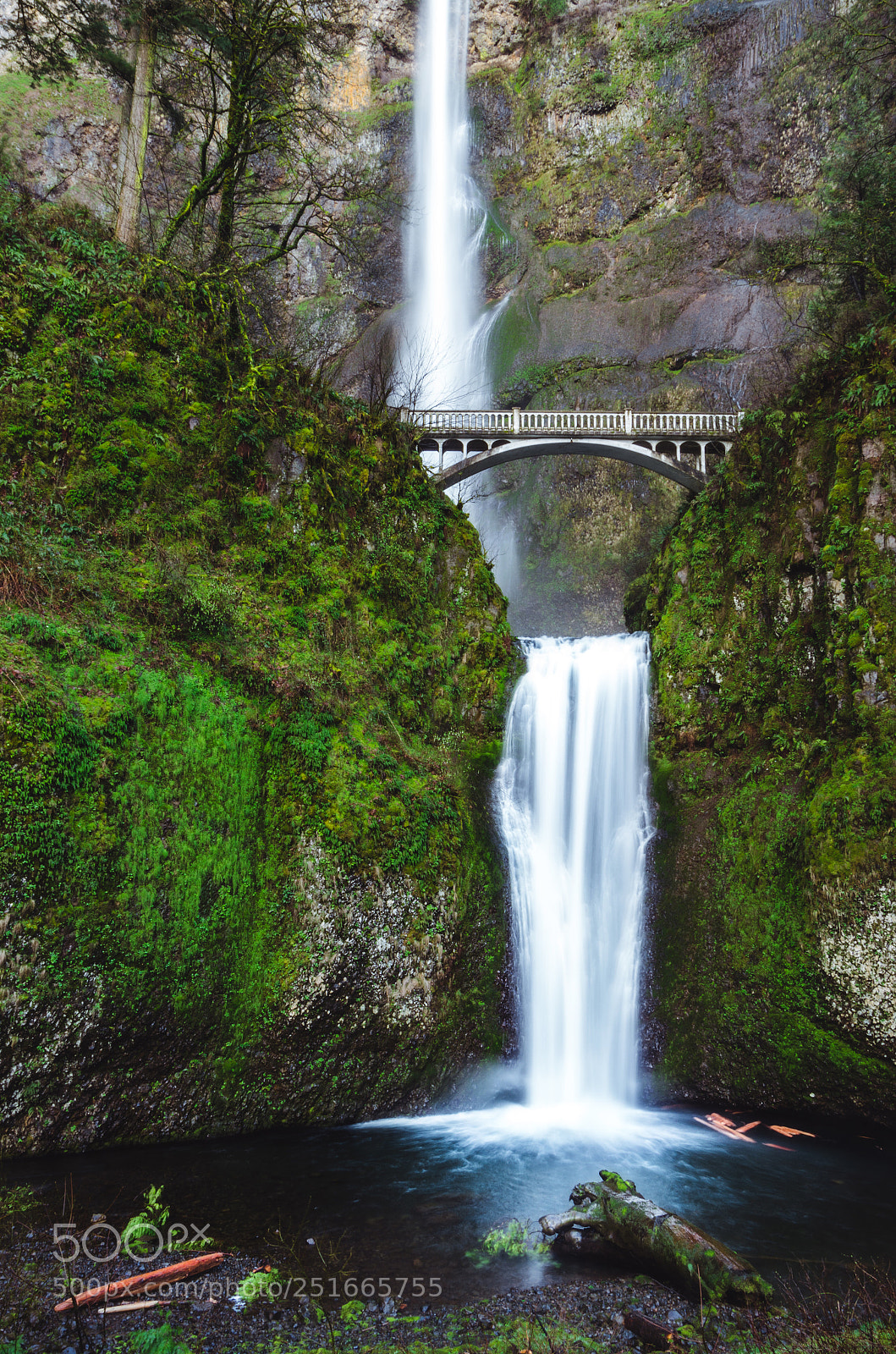 Pentax K-5 sample photo. Multnomah photography