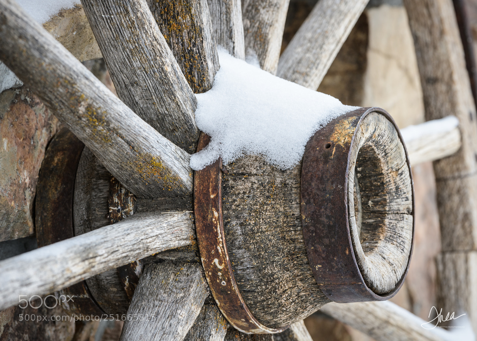 Nikon D850 sample photo. Stage coach wheel at photography