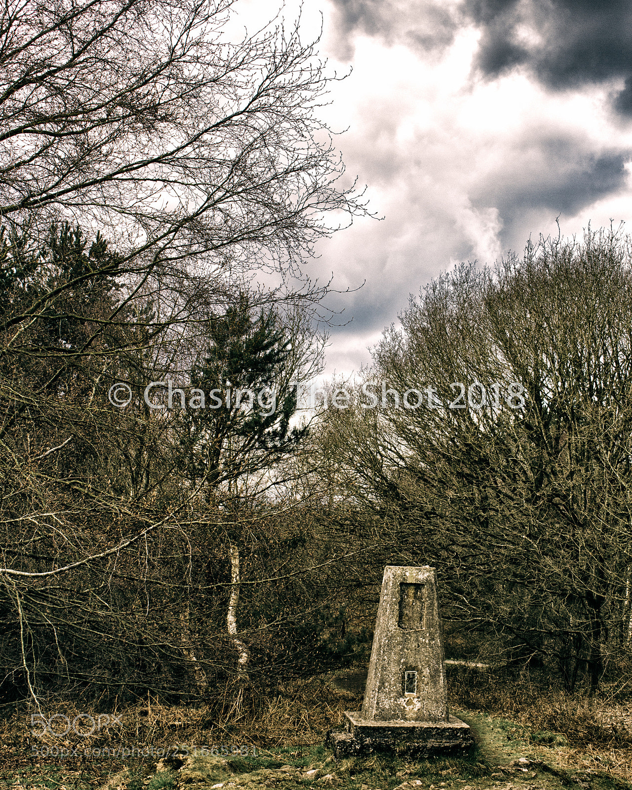 Canon EOS 600D (Rebel EOS T3i / EOS Kiss X5) sample photo. Haughmond hill photography