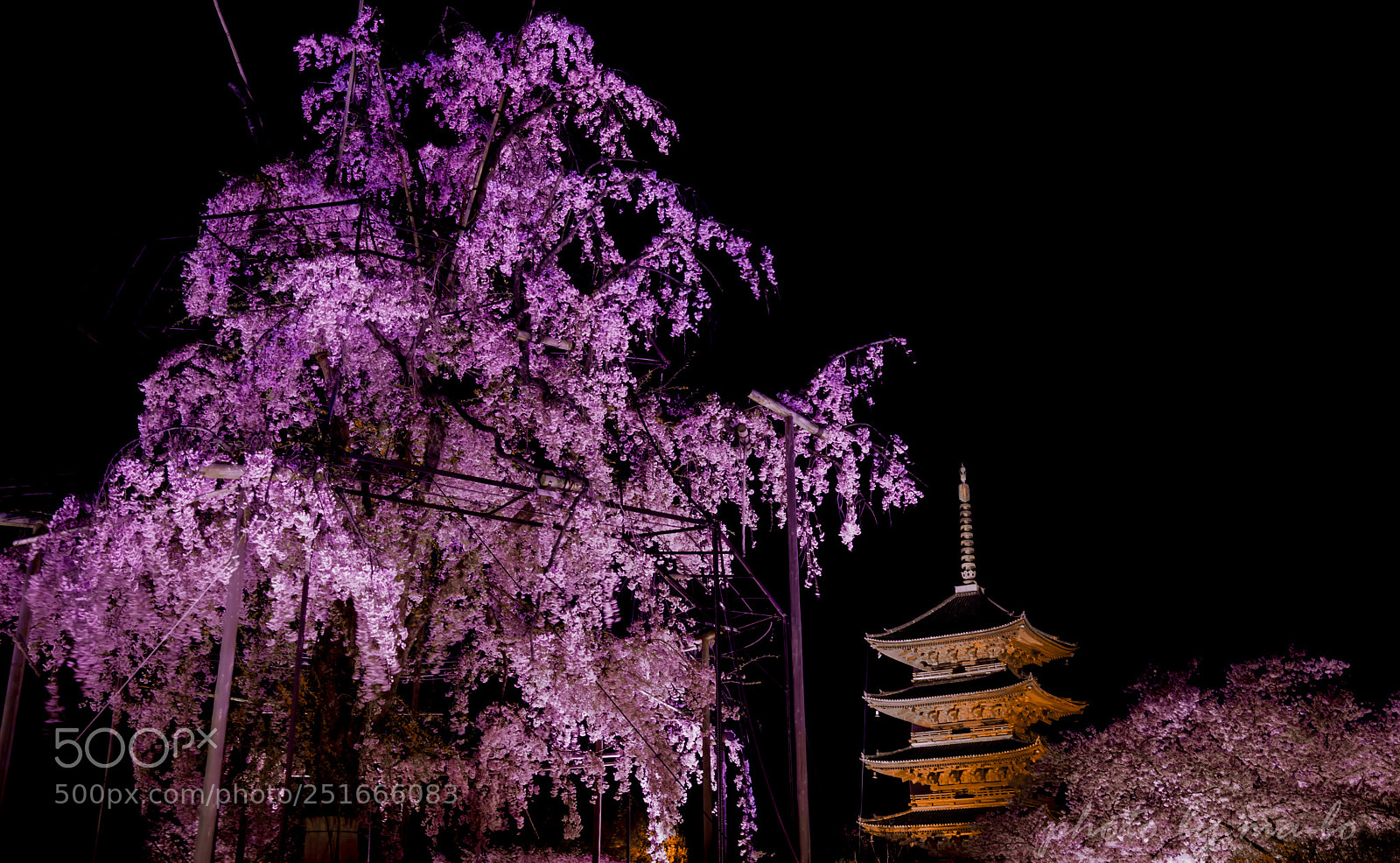 Pentax K-1 sample photo. 東寺 photography