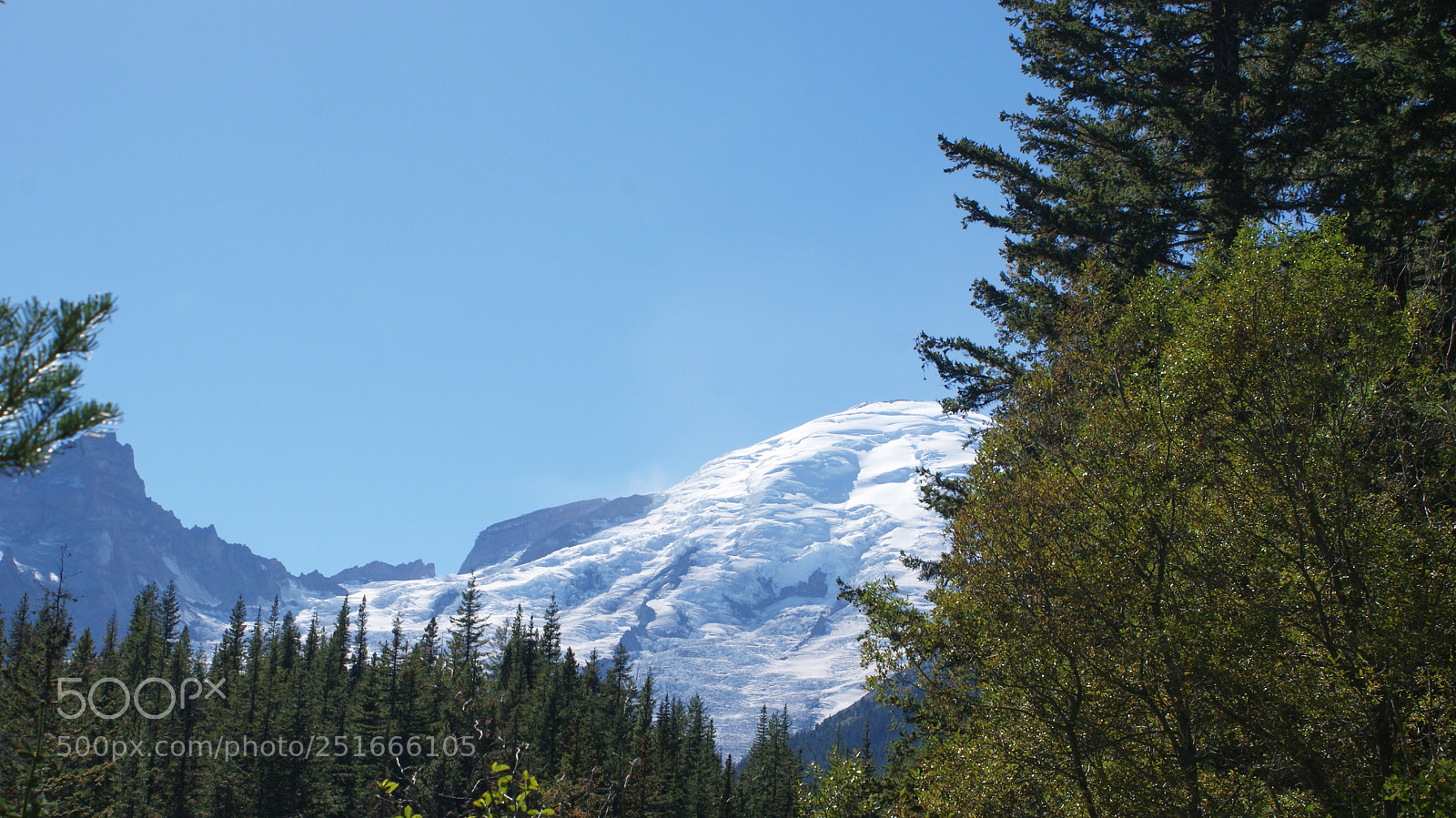 Sony Alpha DSLR-A200 sample photo. Glacier basin trail, mt photography