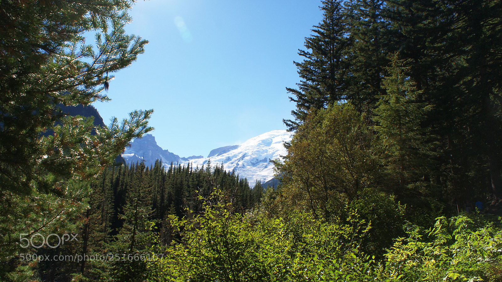 Sony Alpha DSLR-A200 sample photo. Glacier basin trail, mt photography