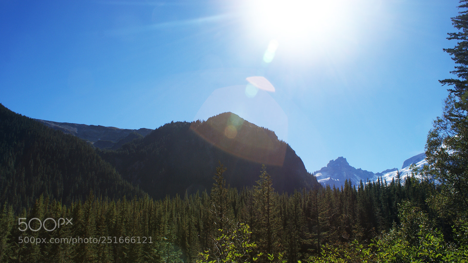 Sony Alpha DSLR-A200 sample photo. Glacier basin trail, mt photography