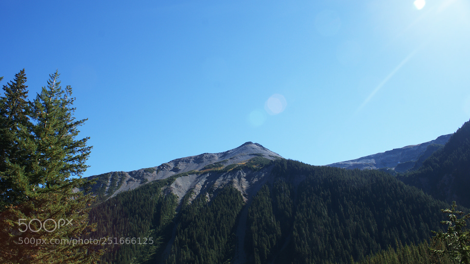 Sony Alpha DSLR-A200 sample photo. Glacier basin trail, mt photography