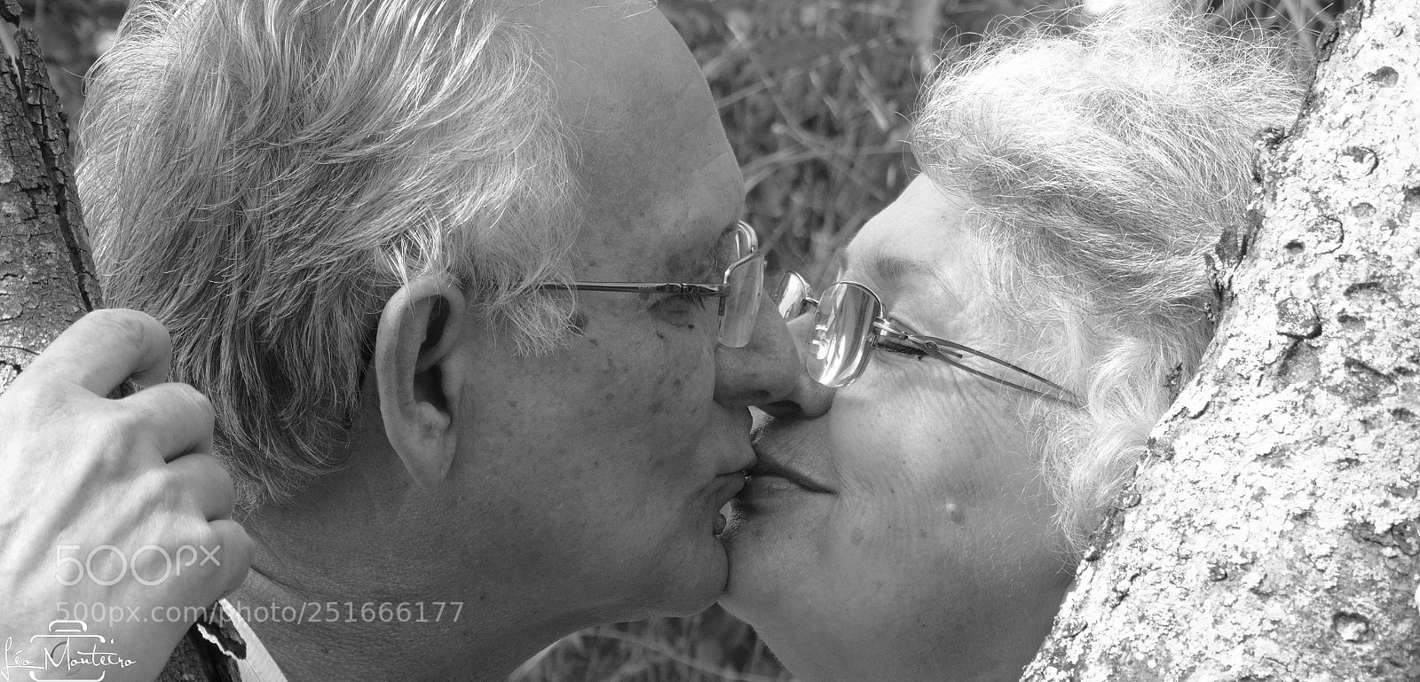 Sony Cyber-shot DSC-HX300 sample photo. Lind & nel photography