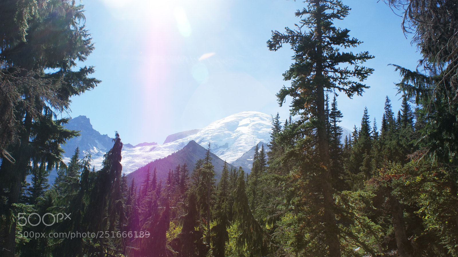 Sony Alpha DSLR-A200 sample photo. Glacier basin trail, mt photography