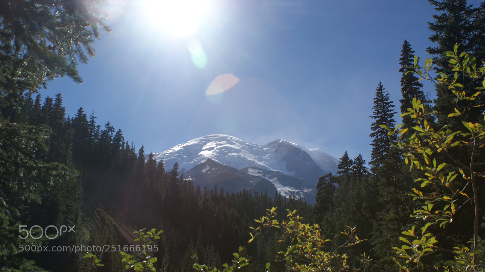Sony Alpha DSLR-A200 sample photo. Glacier basin trail, mt photography