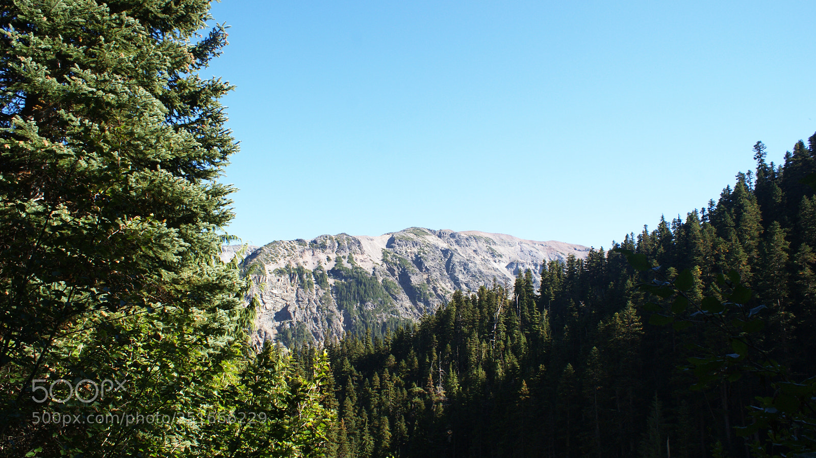 Sony Alpha DSLR-A200 sample photo. Glacier basin trail, mt photography