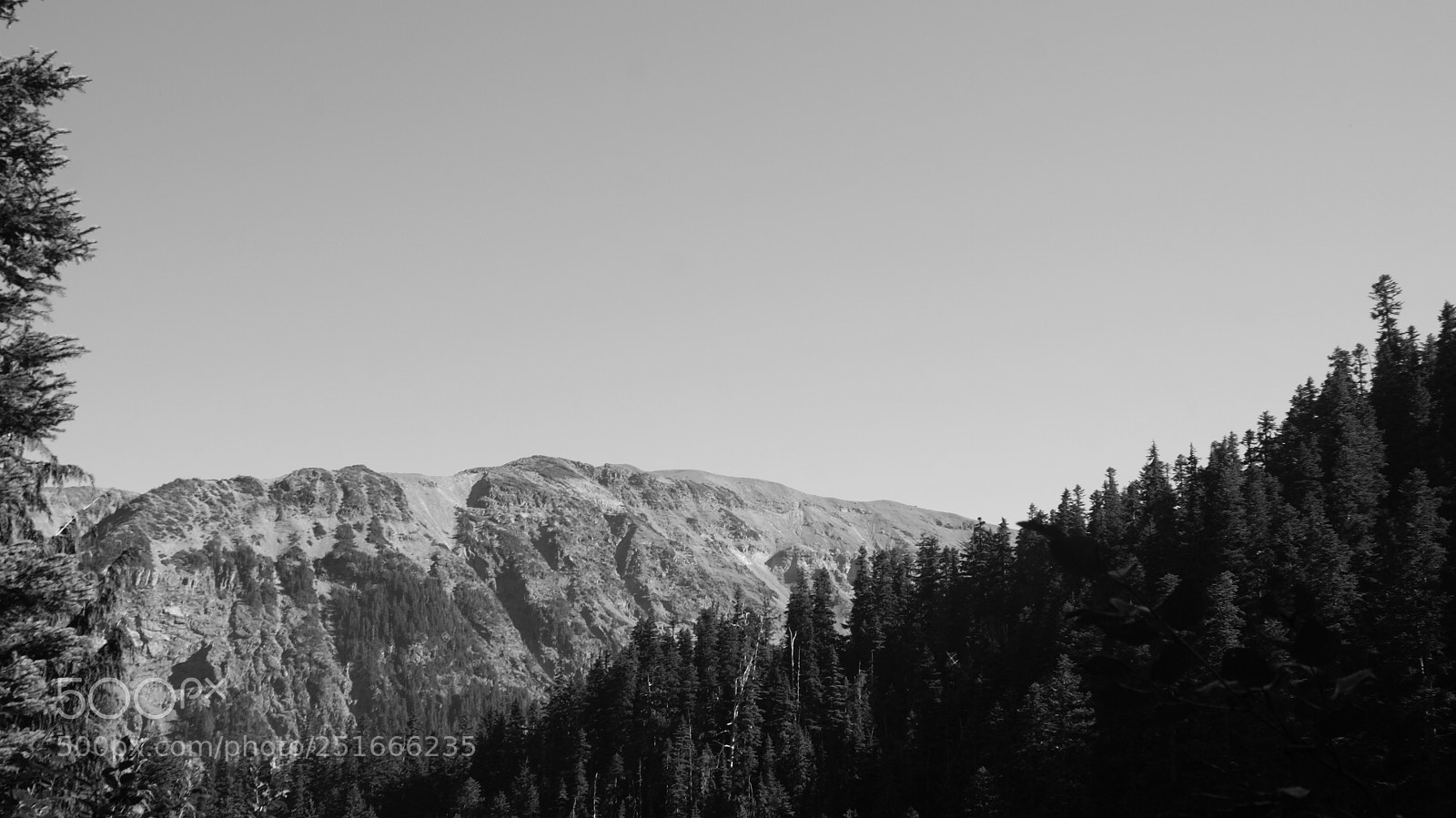 Sony Alpha DSLR-A200 sample photo. Glacier basin trail, mt photography