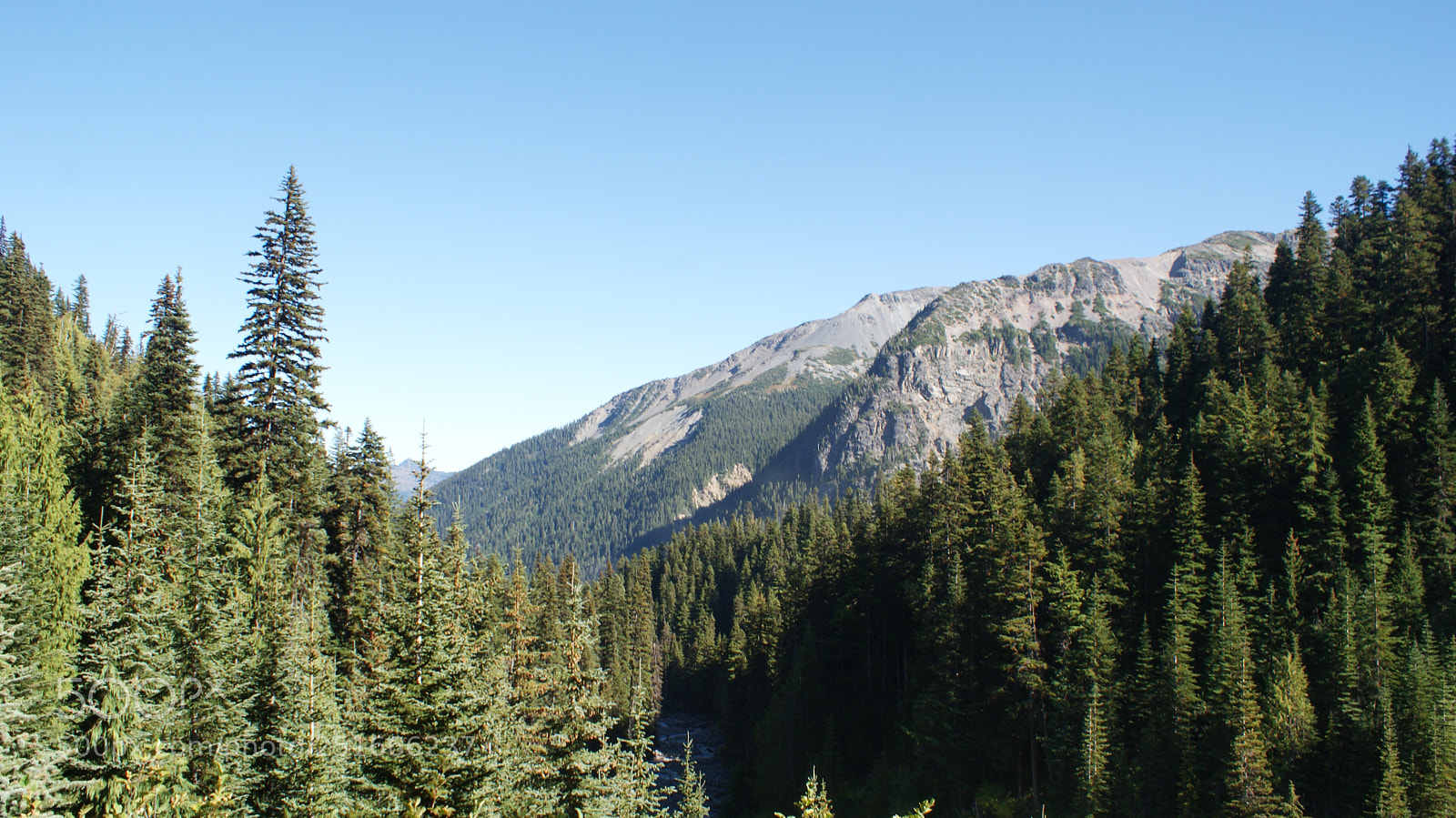 Sony Alpha DSLR-A200 sample photo. Glacier basin trail, mt photography