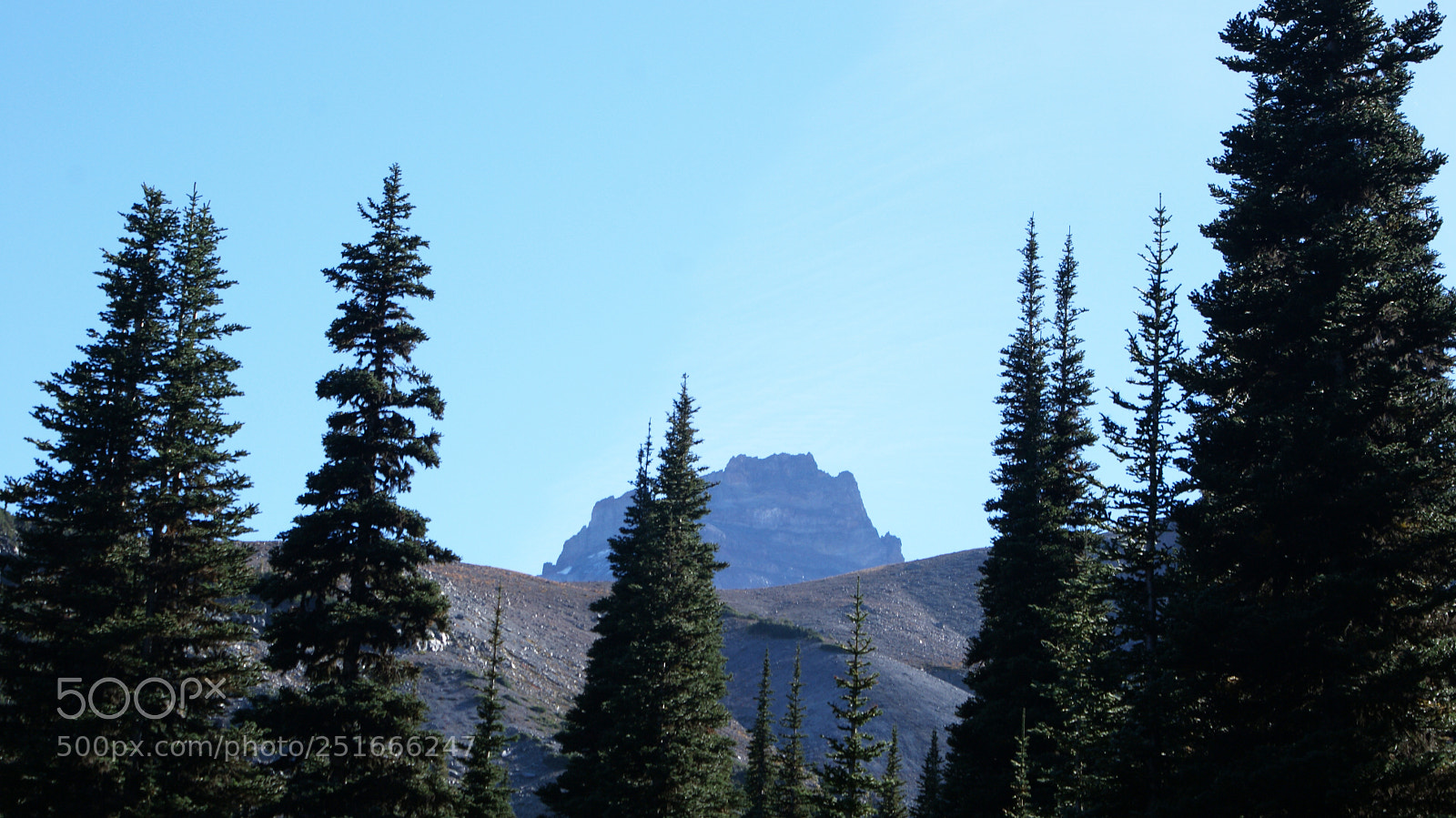 Sony Alpha DSLR-A200 sample photo. Glacier basin trail, mt photography