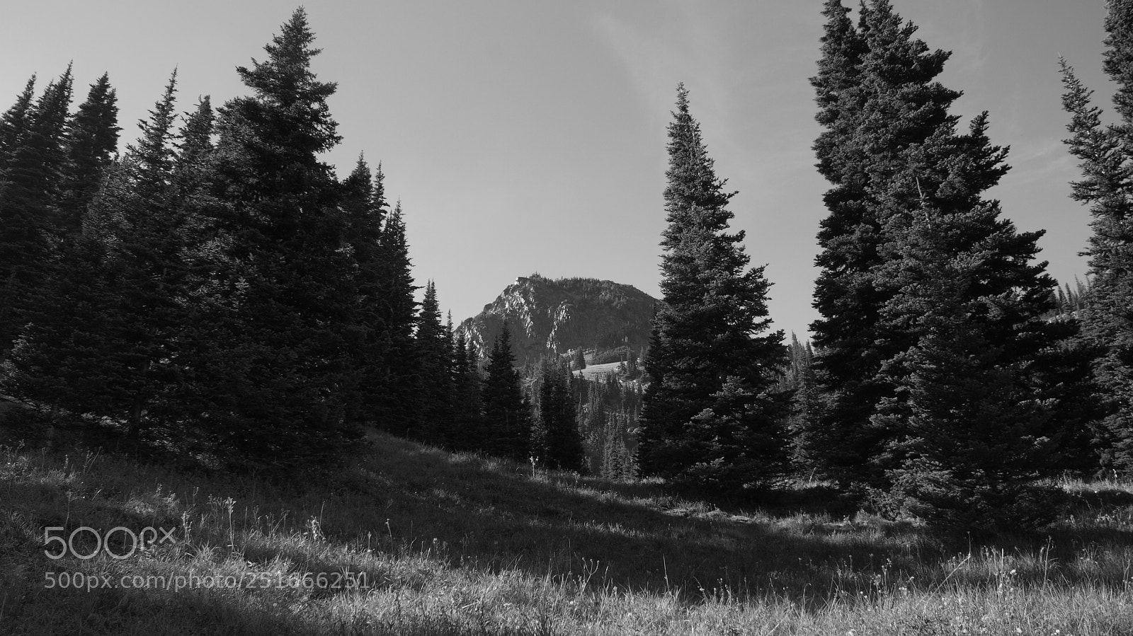 Sony Alpha DSLR-A200 sample photo. Glacier basin trail, mt photography
