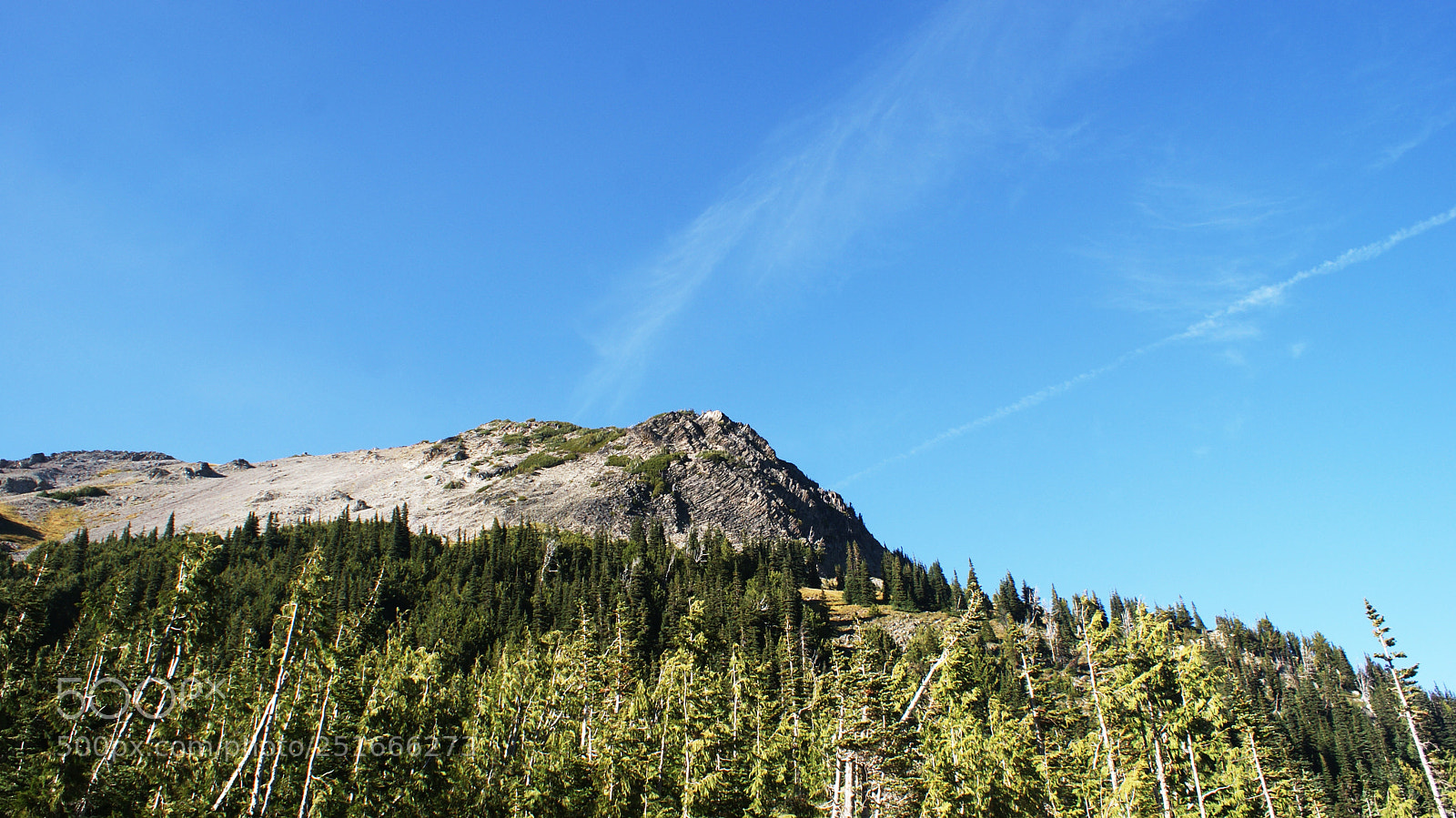 Sony Alpha DSLR-A200 sample photo. Glacier basin trail, mt photography