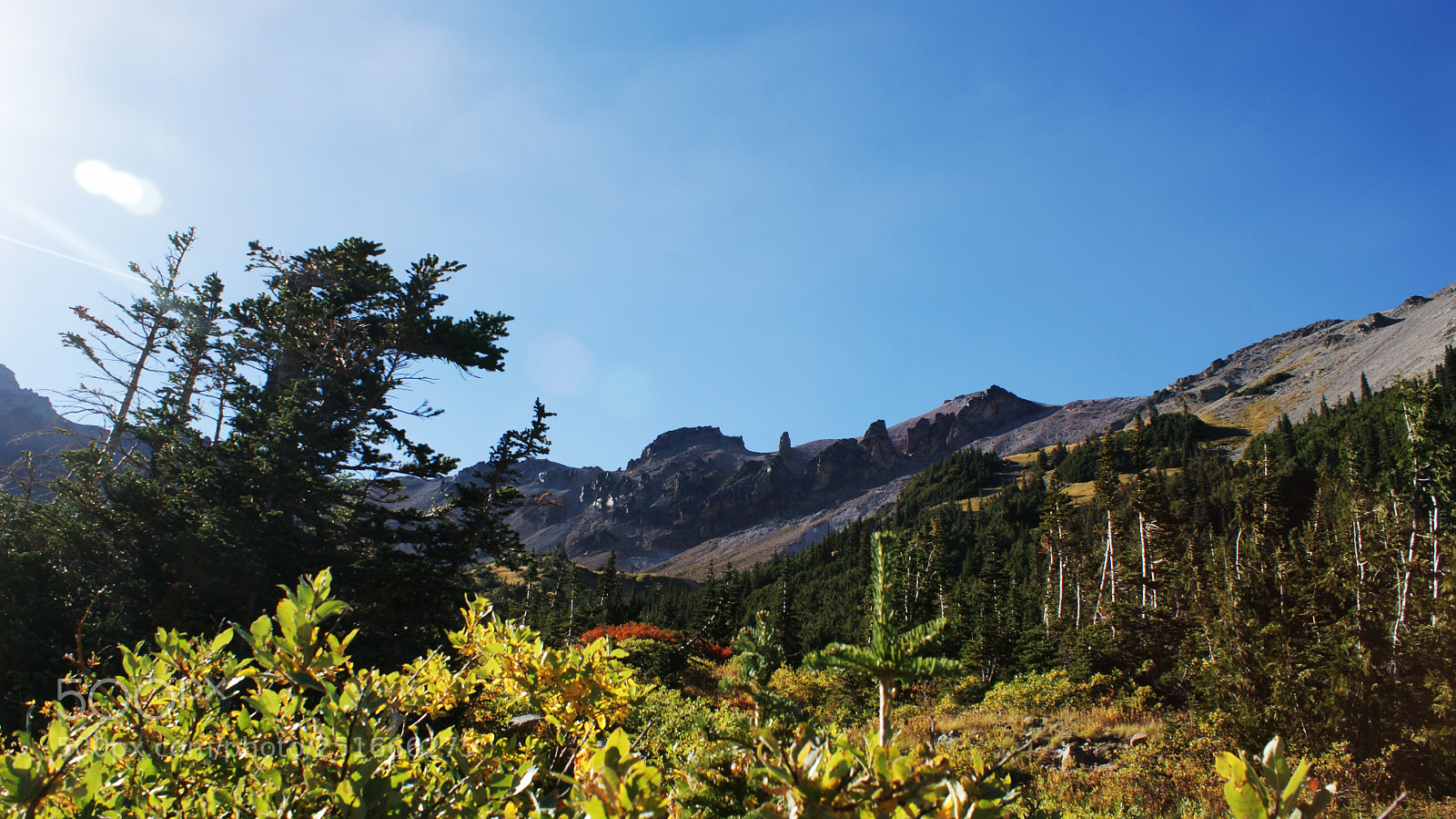 Sony Alpha DSLR-A200 sample photo. Glacier basin trail, mt photography