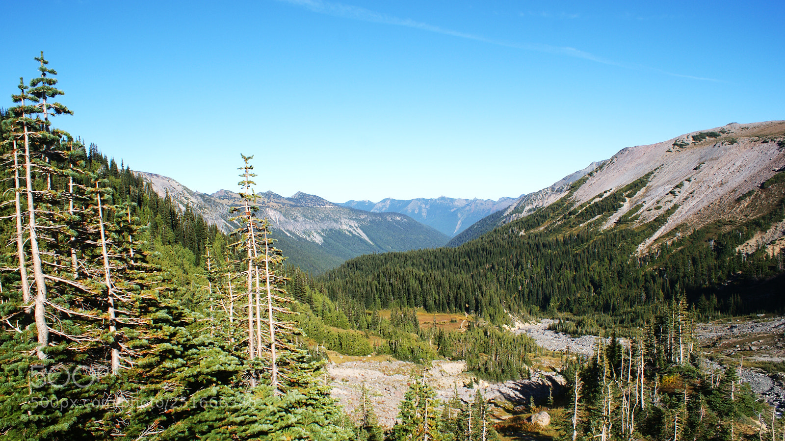 Sony Alpha DSLR-A200 sample photo. Glacier basin trail, mt photography