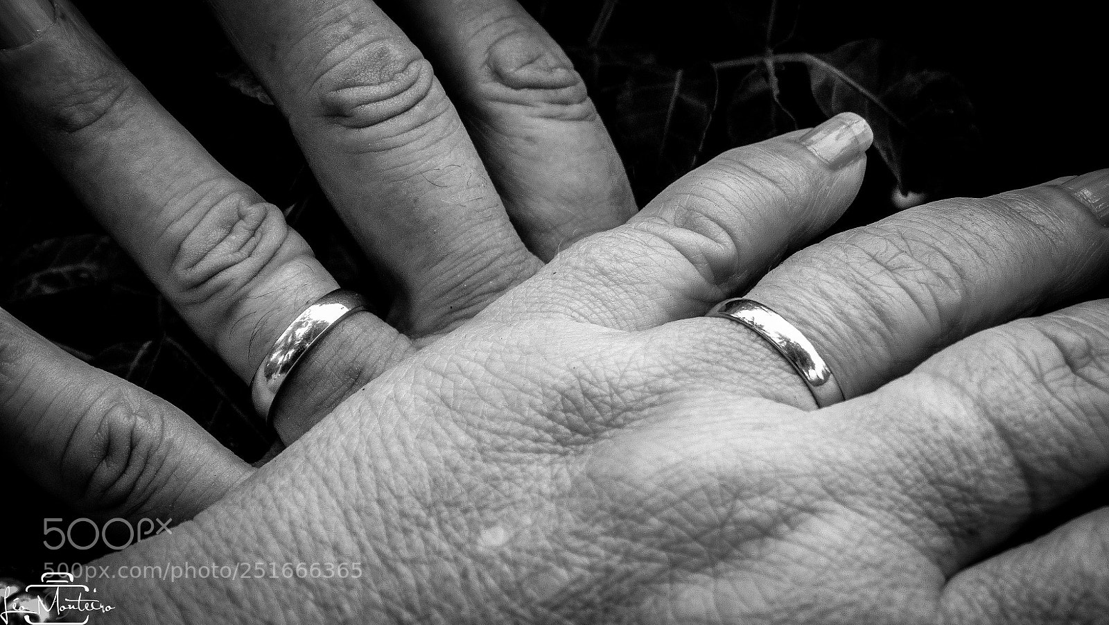 Sony Cyber-shot DSC-HX300 sample photo. Lind & nel photography