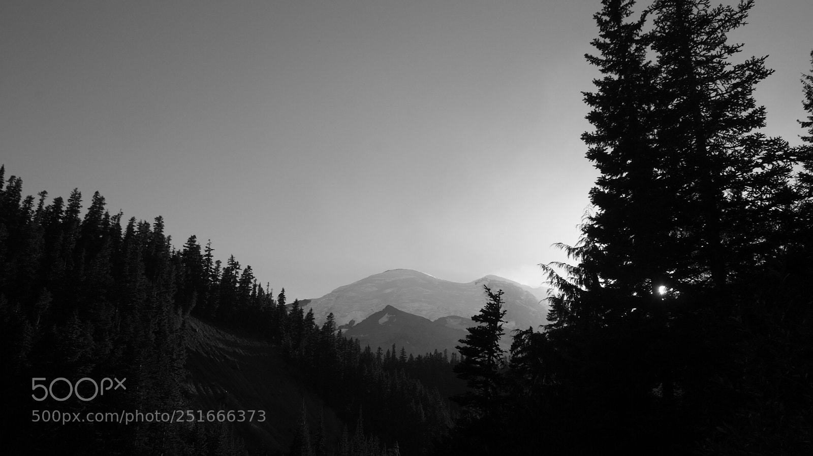Sony Alpha DSLR-A200 sample photo. Glacier basin trail, mt photography