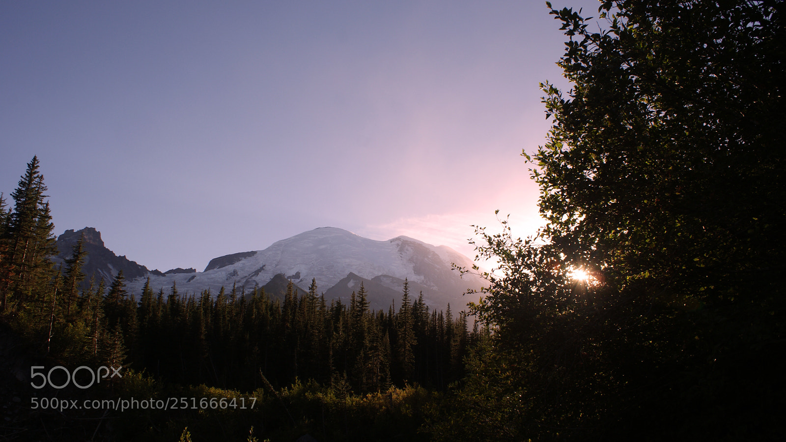 Sony Alpha DSLR-A200 sample photo. Glacier basin trail, mt photography