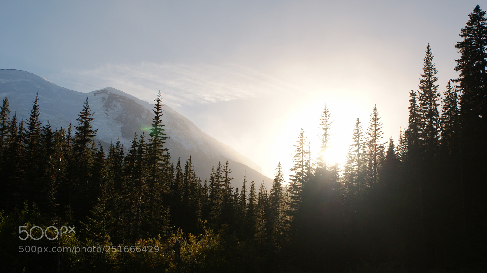 Sony Alpha DSLR-A200 sample photo. Glacier basin trail, mt photography