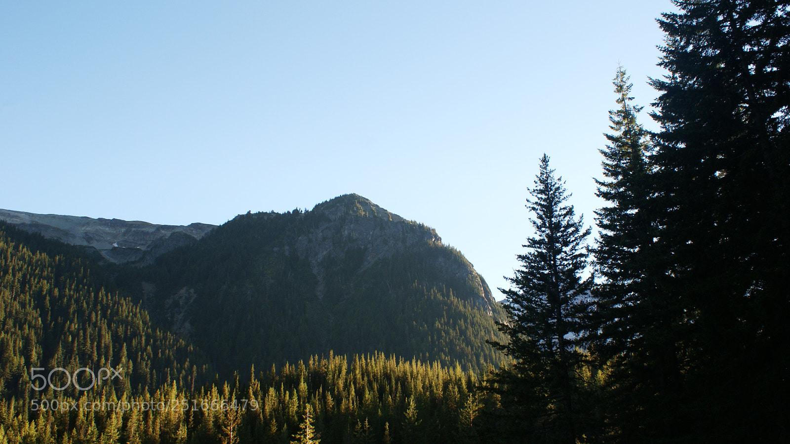 Sony Alpha DSLR-A200 sample photo. Glacier basin trail, mt photography