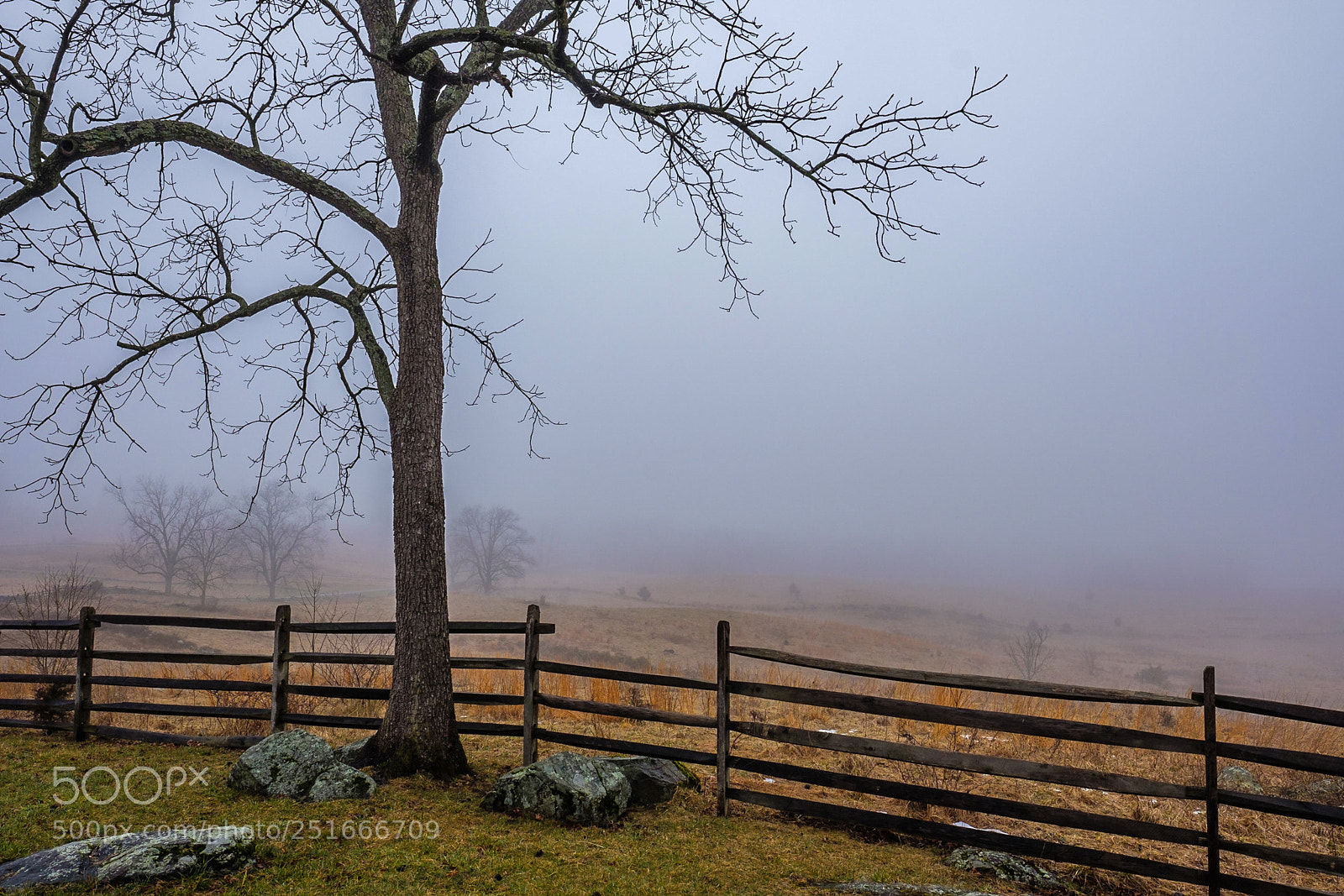 Fujifilm X-T2 sample photo. Foggy meadow photography