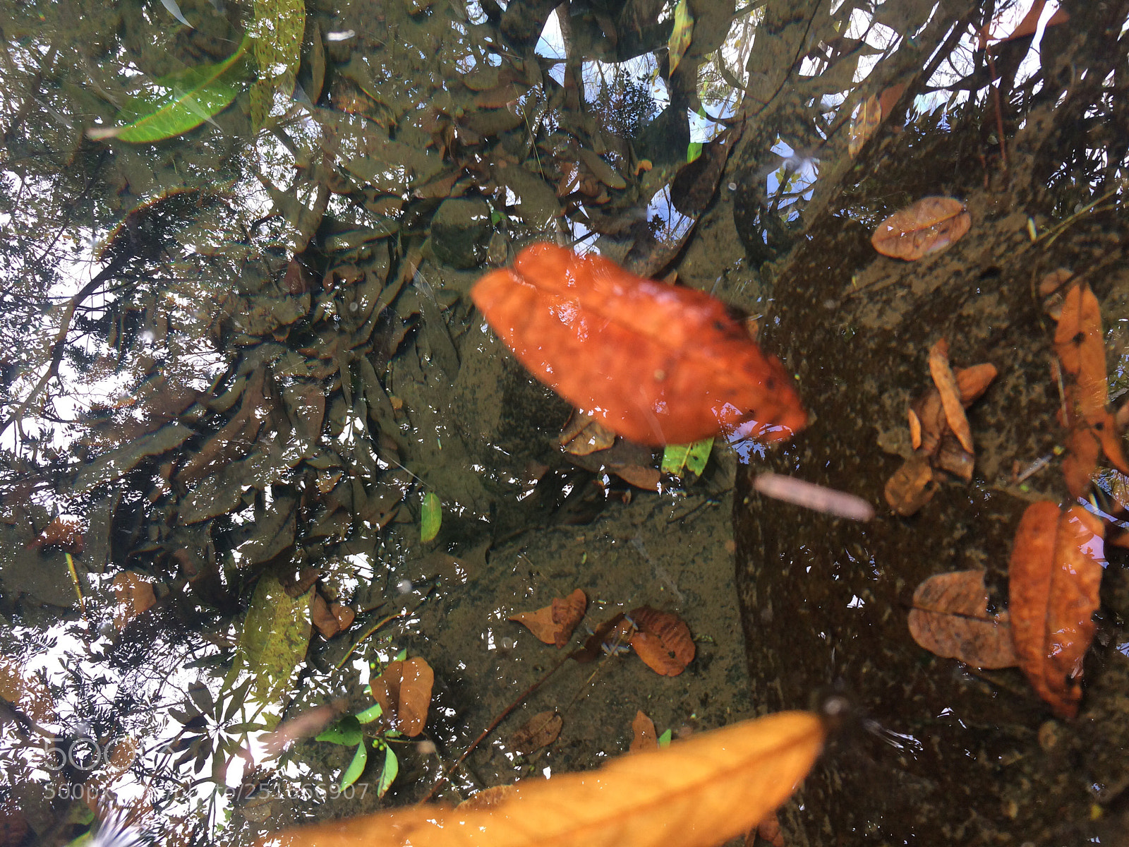 Apple iPhone 5s sample photo. Untitled photography