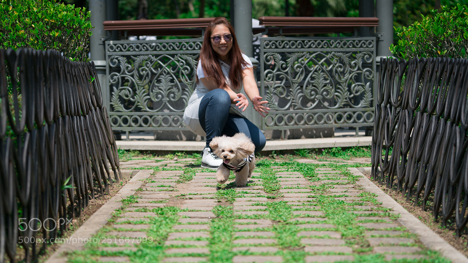 Sony a7R II sample photo. Dsc photography