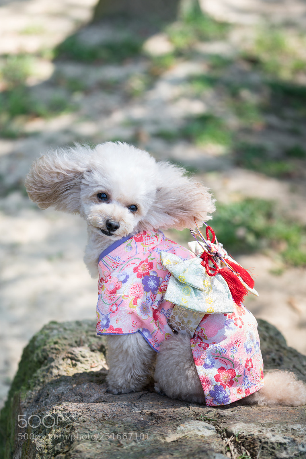 Sony a7R II sample photo. Dsc photography