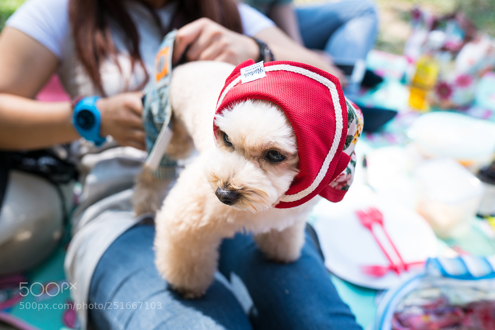 Sony a7R II sample photo. Dsc photography