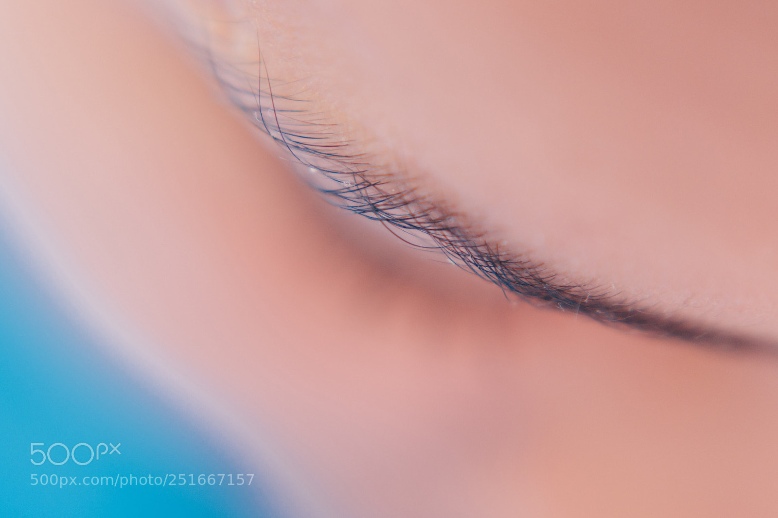Canon EOS 80D sample photo. Eyelash photography