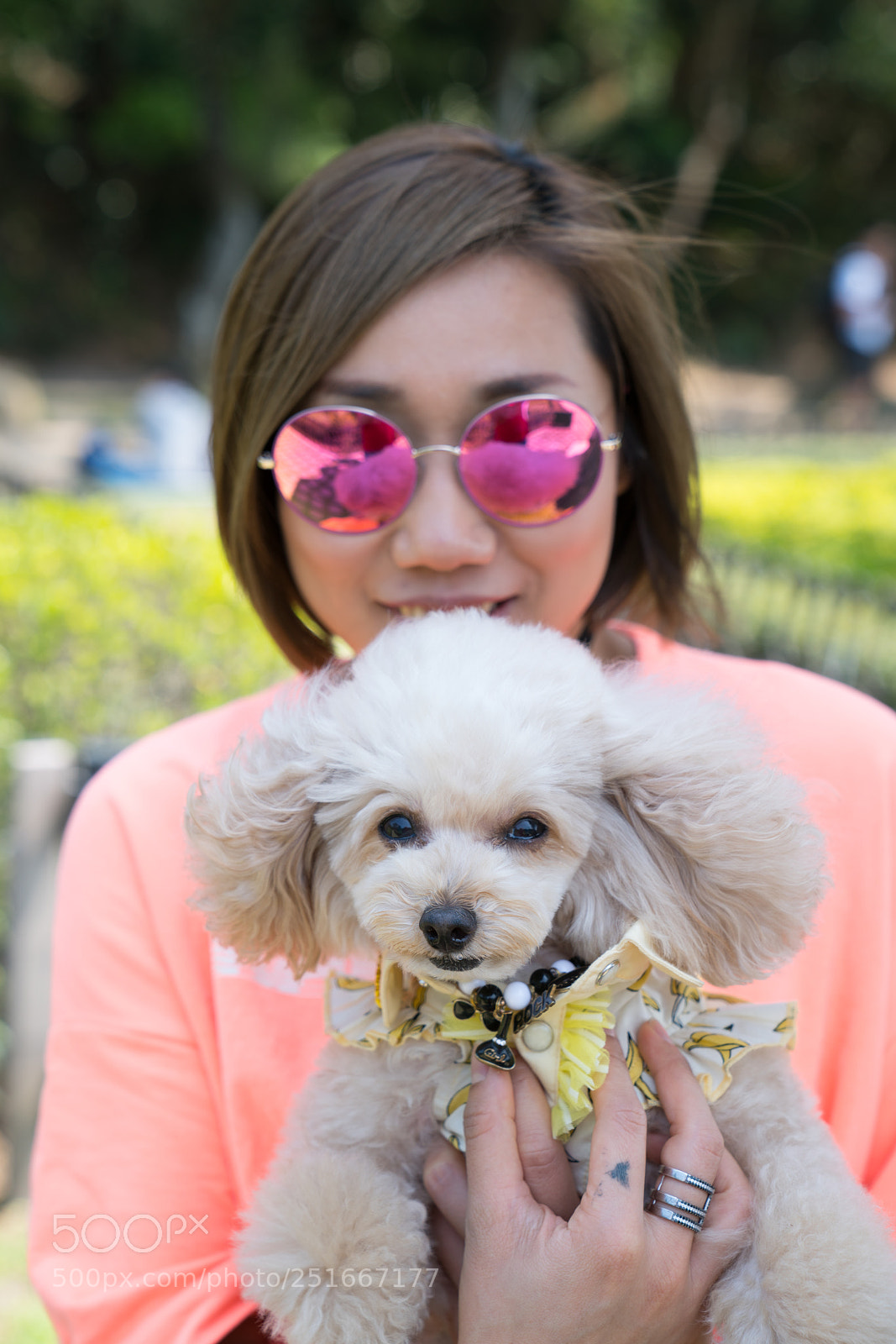 Sony a7R II sample photo. Dsc photography