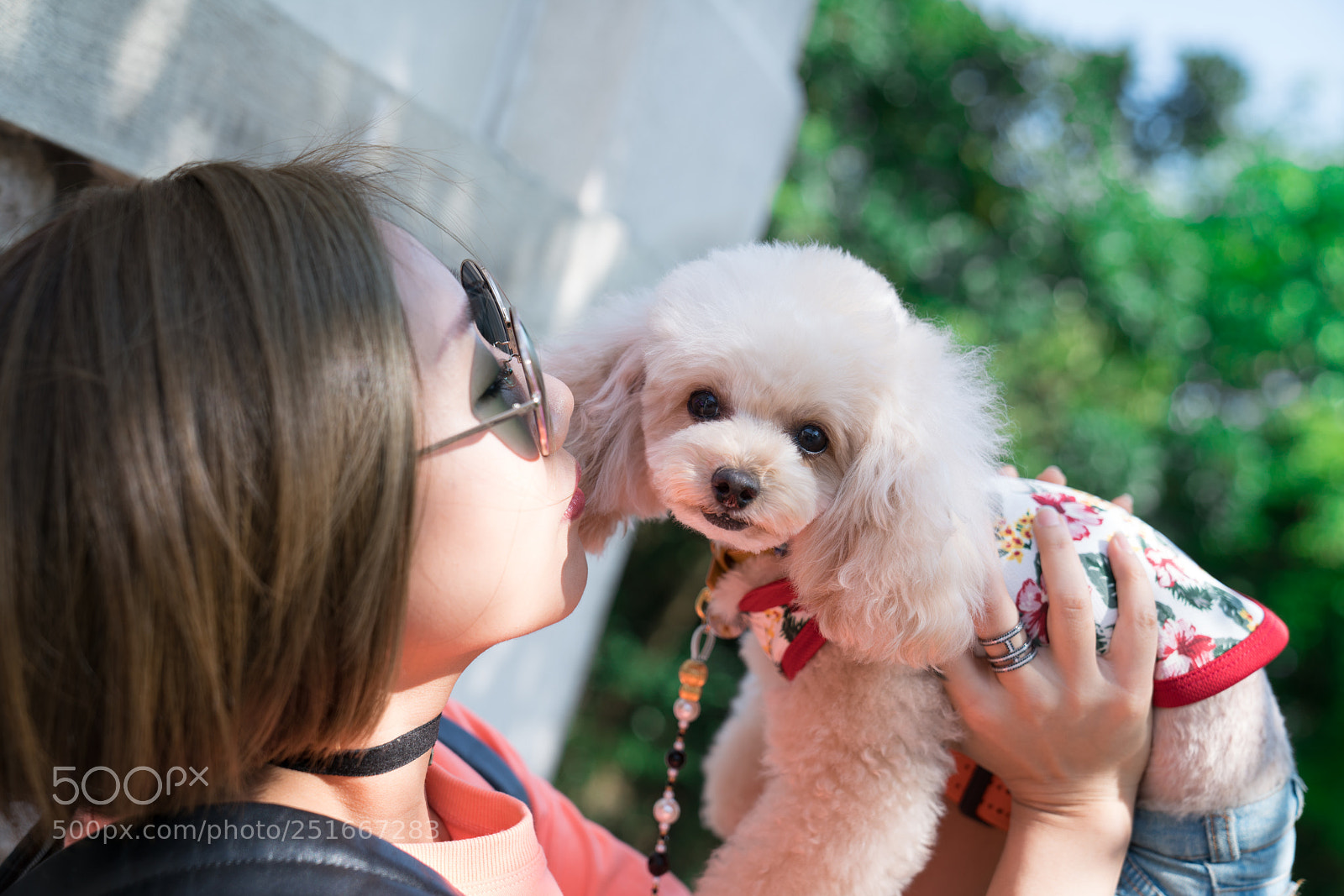 Sony a7R II sample photo. Dsc photography