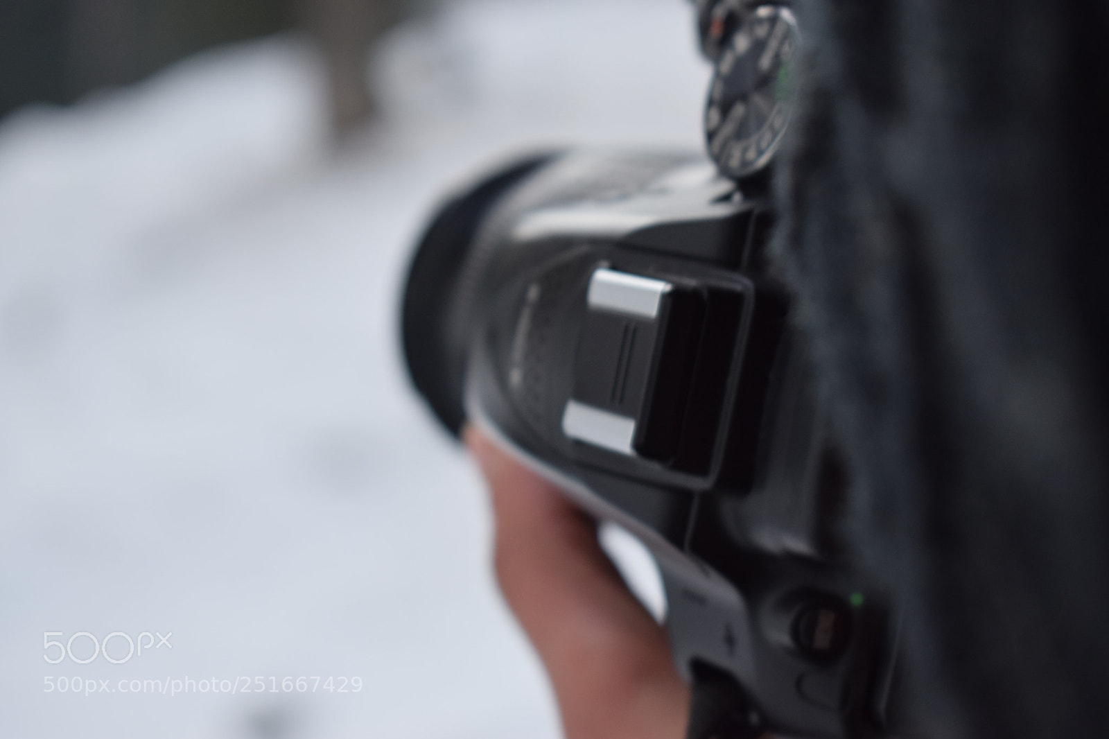 Nikon D3300 sample photo. Camera photography