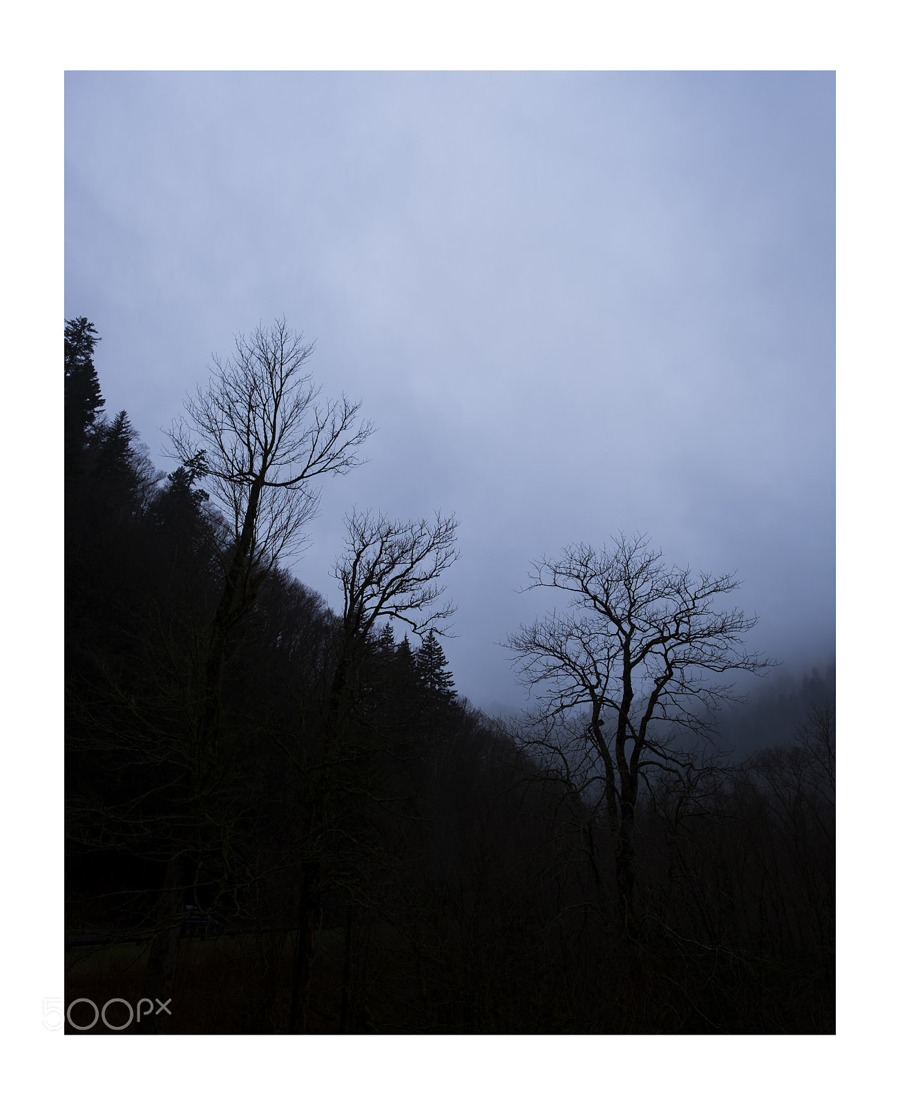 Fujifilm X-E3 sample photo. Untitled ... photography